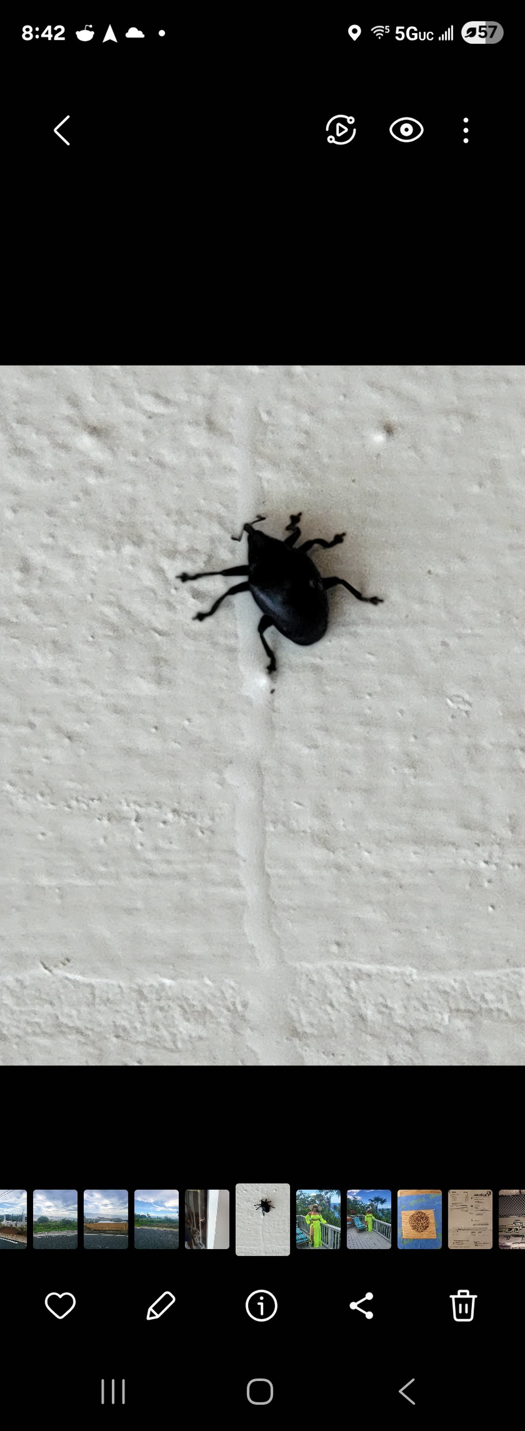 All N-1 Pest Control Management LLC Image