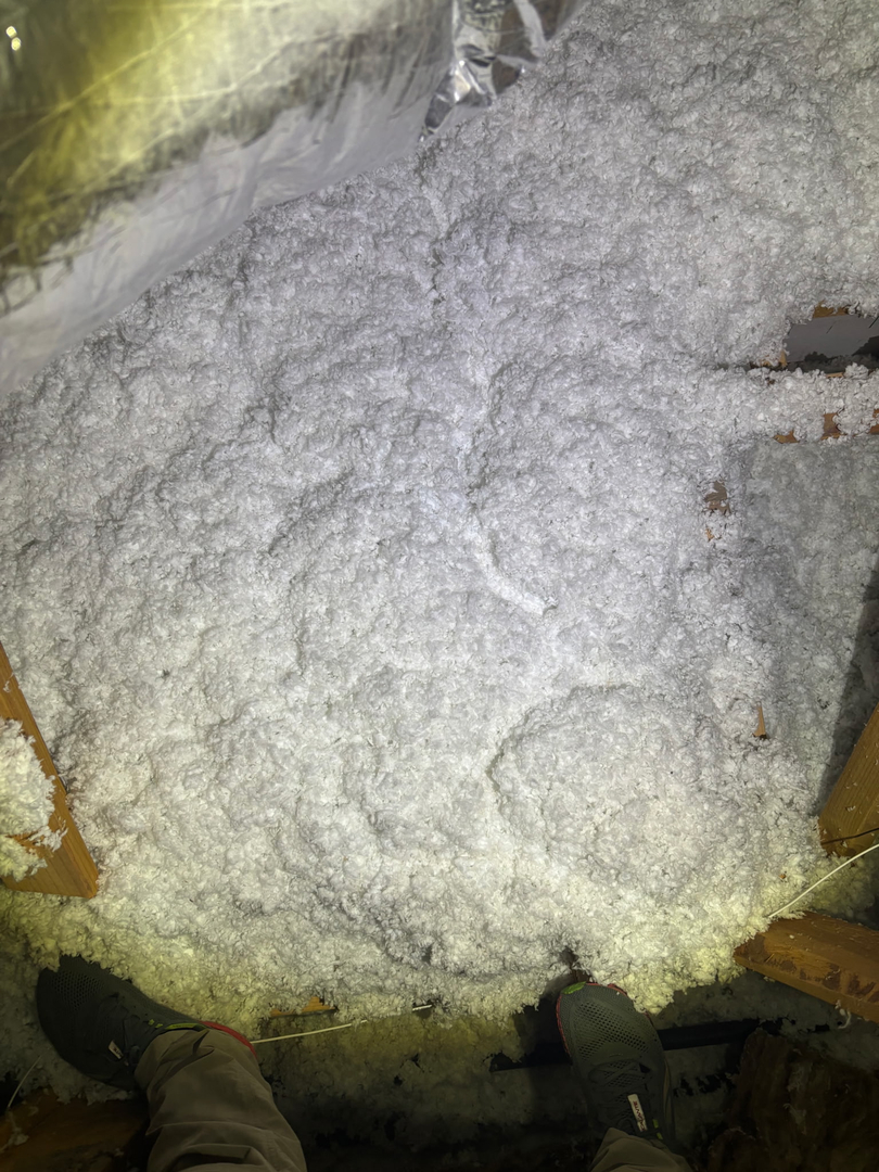 All N-1 Pest Control Management LLC Image