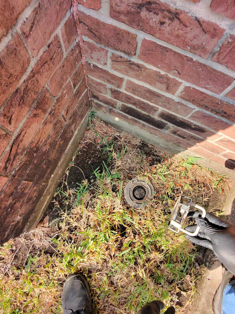 All N-1 Pest Control Management LLC Image