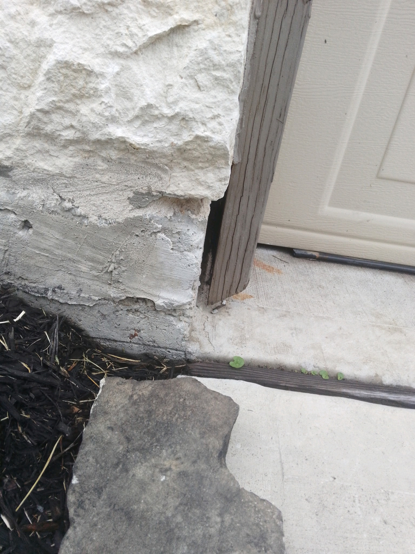 All N-1 Pest Control Management LLC Image