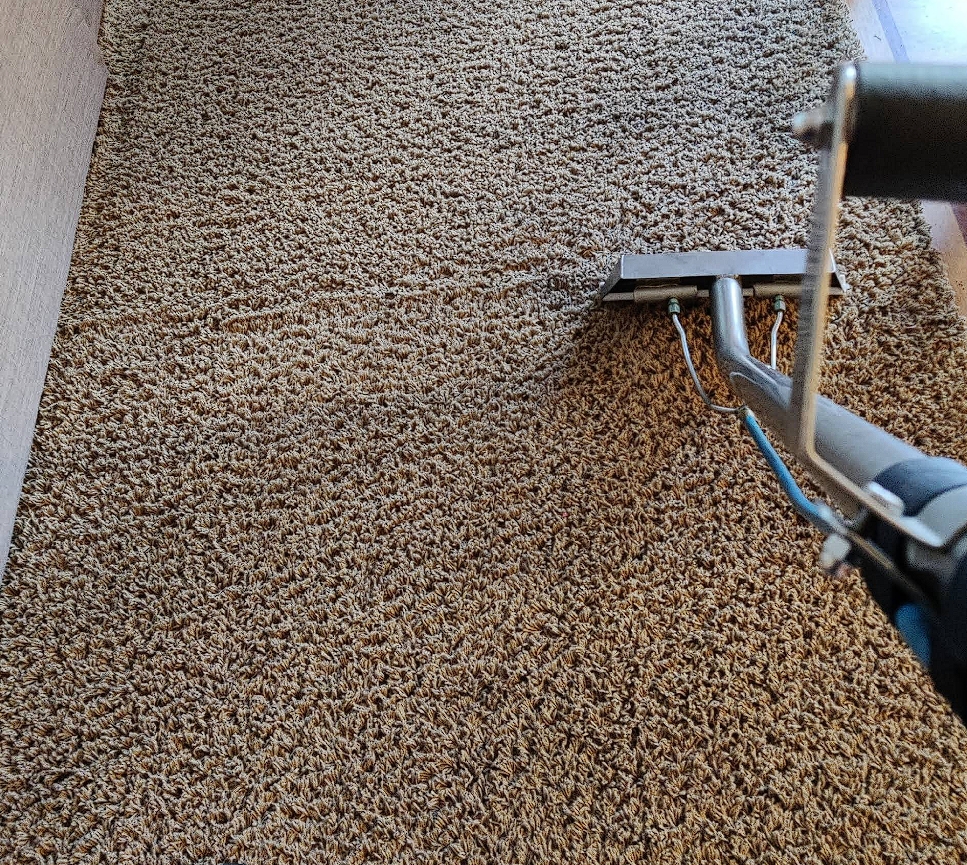 Carpet MD Image