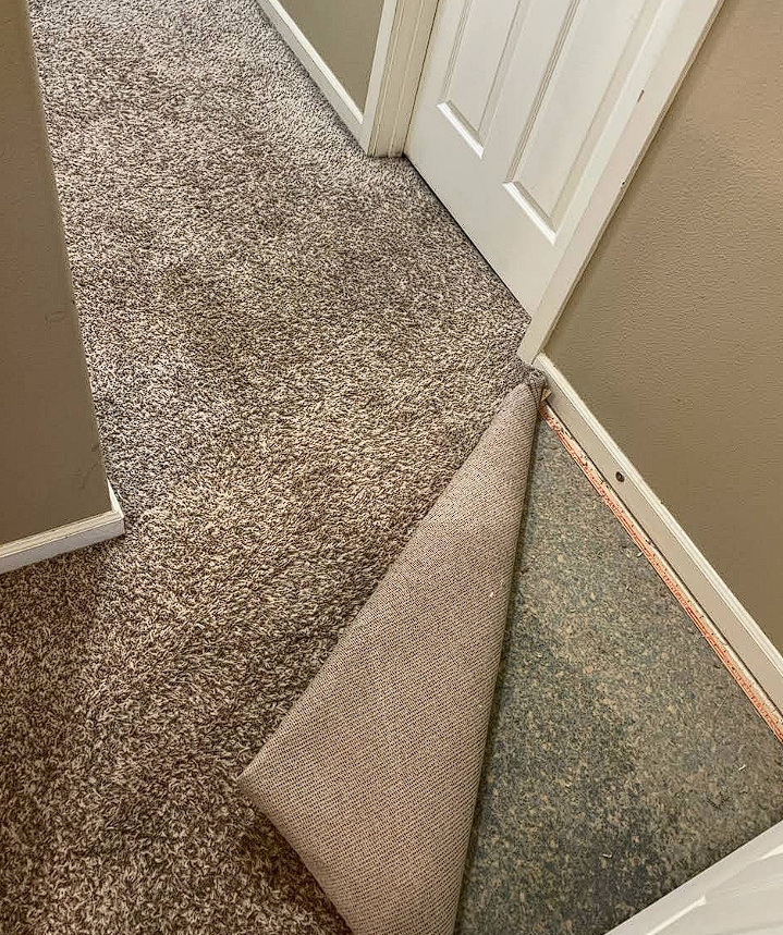 Carpet MD Image