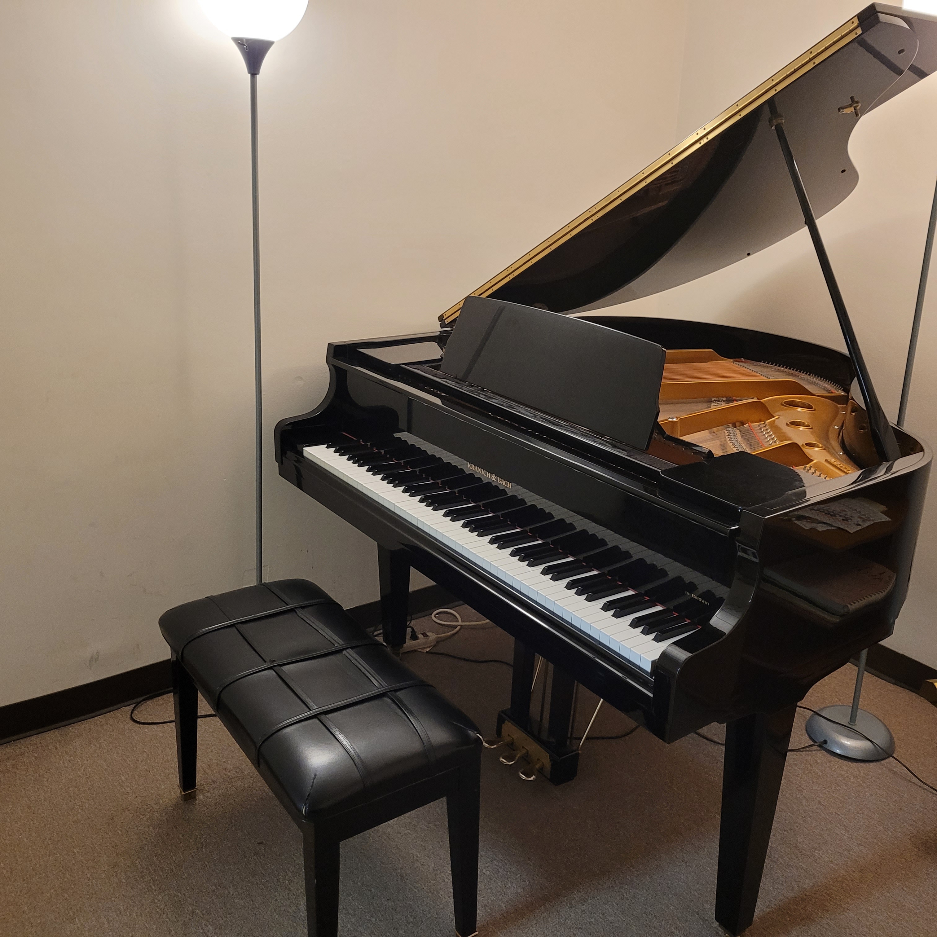 The Asheville Conservatory of the Arts Image