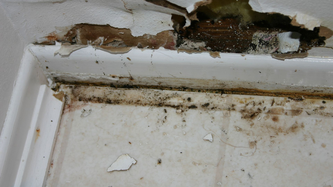 Otero Property Adjusting & Appraisals Inc Image