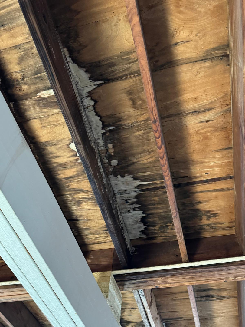 Otero Property Adjusting & Appraisals Inc Image