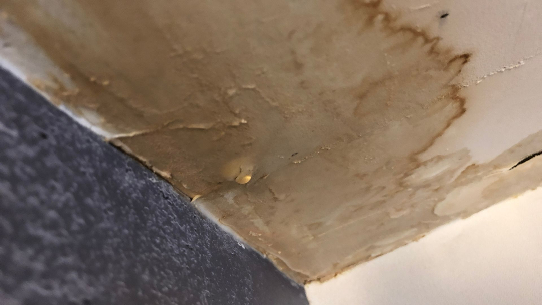 Otero Property Adjusting & Appraisals Inc Image