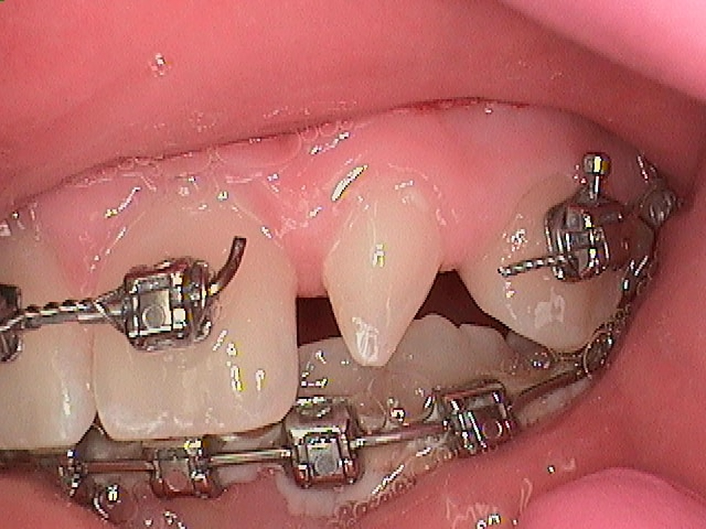 Nolan & Freund Dental Professionals Image