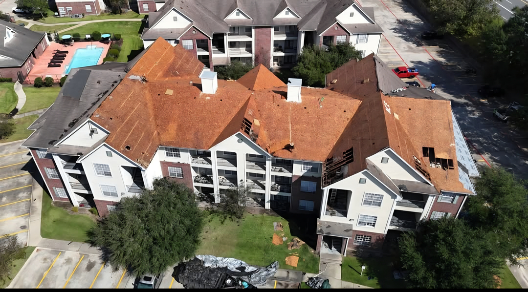 The Aimer Group Image