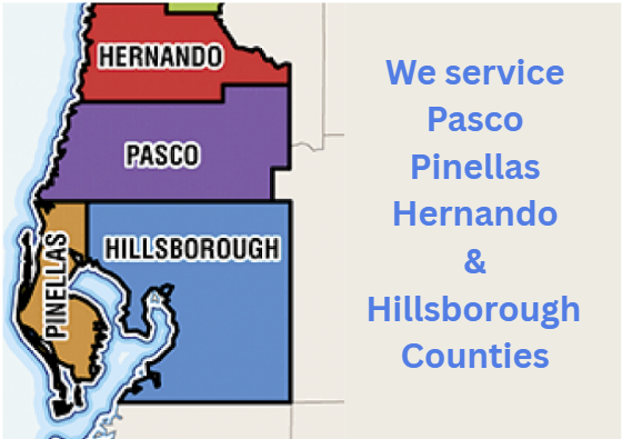 VIP Pest Control - Land O Lakes, FL