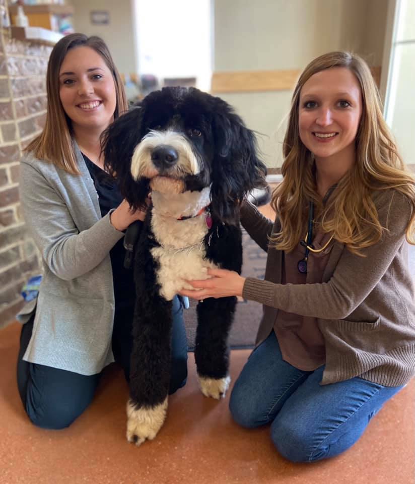 Walnut Creek Animal Hospital & Pet Resort - Purcell, OK