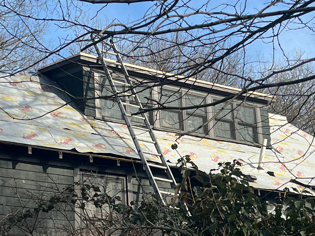 Classic Metal Roofs Image