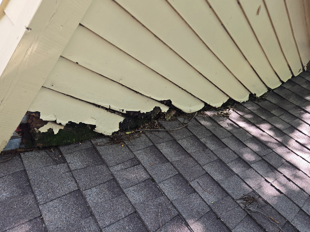 Lindle Painting and Contracting Image