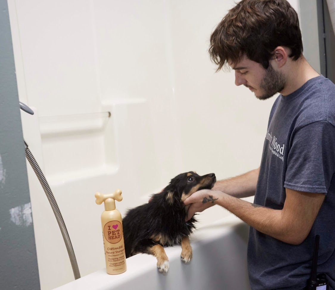 Amity Woods Animal Hospital - Kansas City, MO