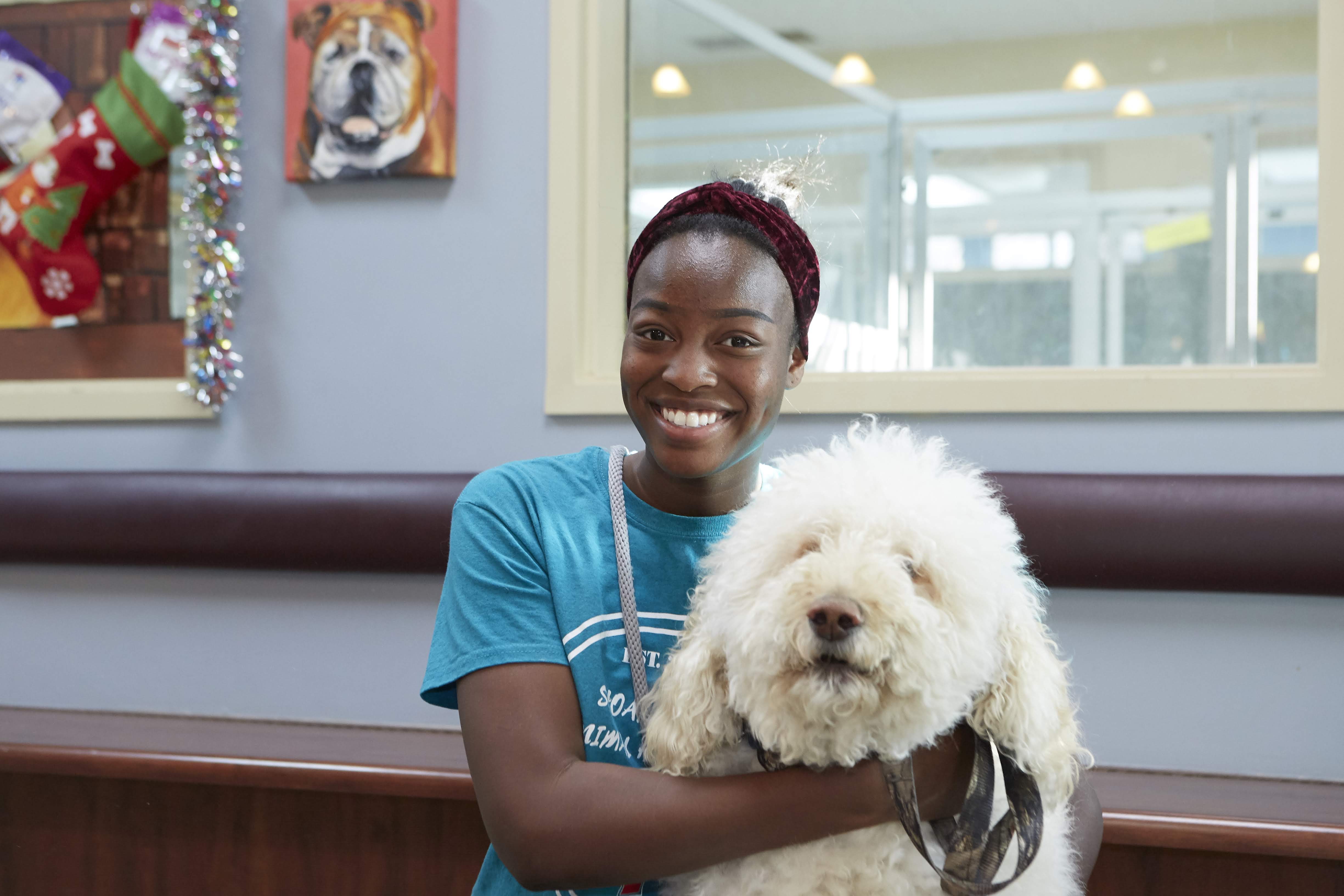 Amity Woods Animal Hospital - Kansas City, MO