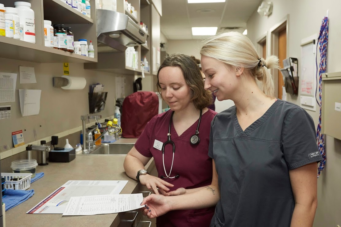 Amity Woods Animal Hospital - Kansas City, MO
