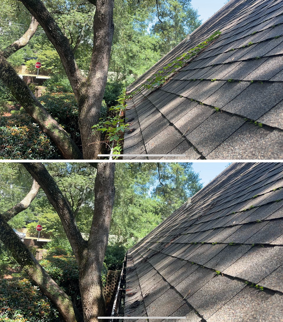 Tims Panhandle Pressure Washing LLC Image