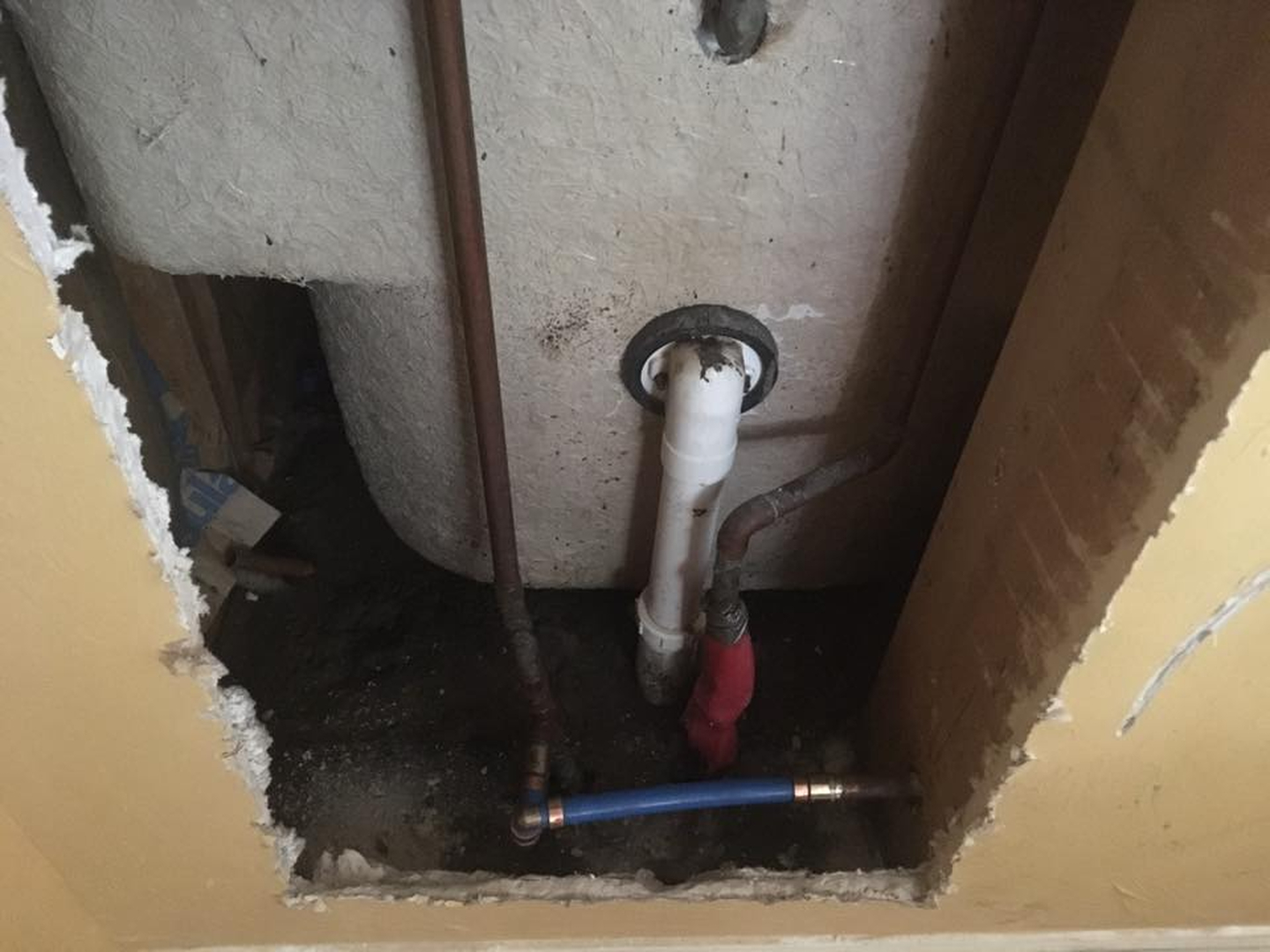 Jackson Total Service Logo