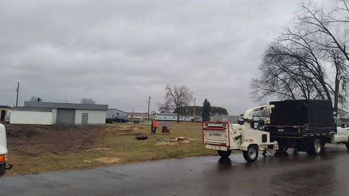 Expert Tree Service & Science - New Richmond, WI