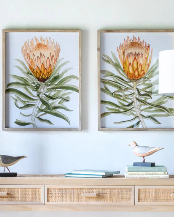 Honeybee Home Decor & Furnishings Image