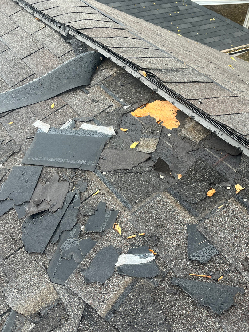 Roof Repair and Leak Experts Image