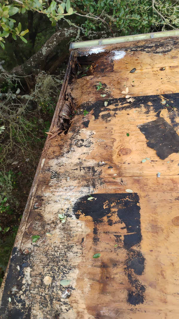 Roof Repair and Leak Experts Image