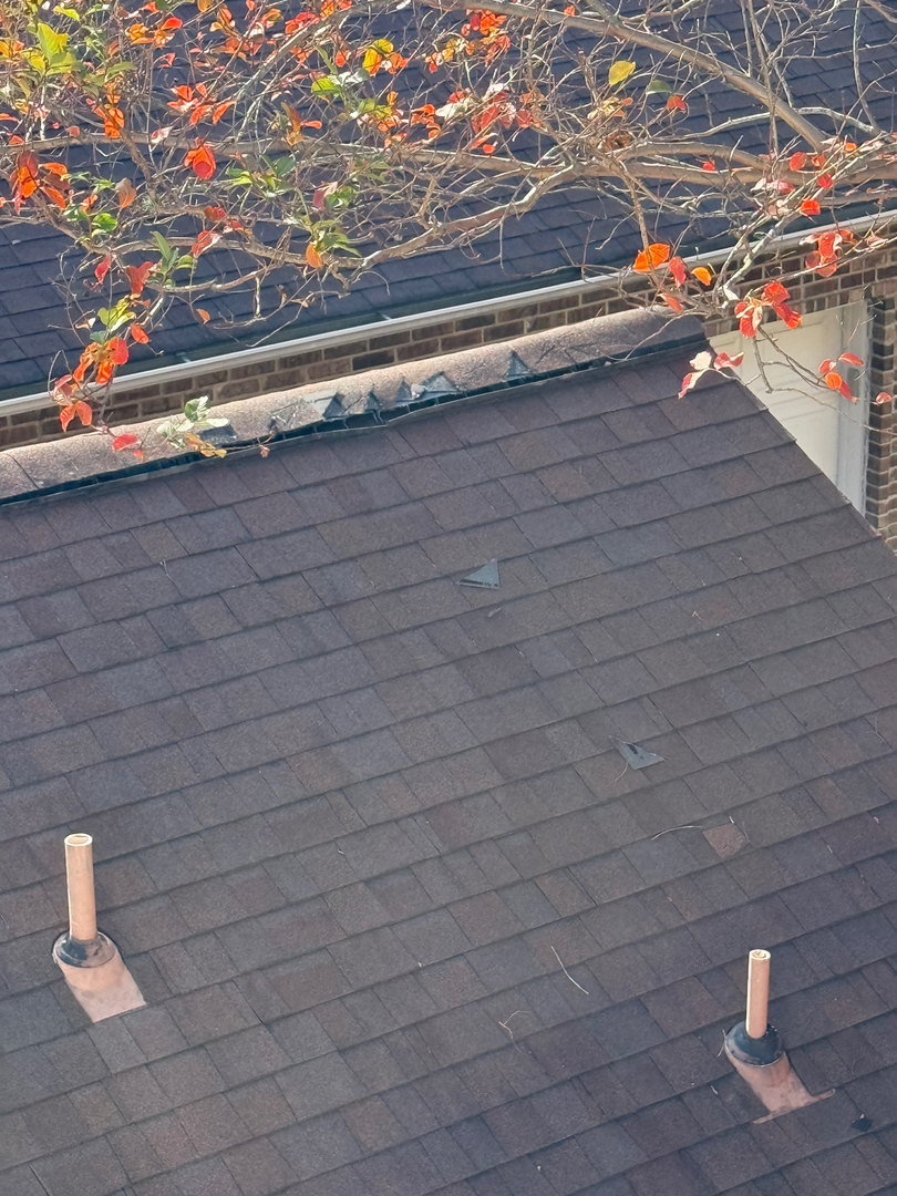 Roof Repair and Leak Experts Image