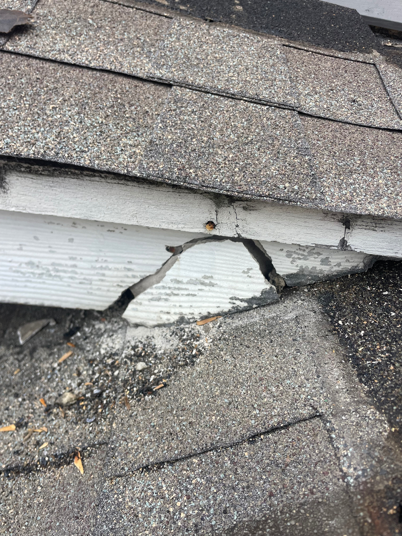 Roof Repair and Leak Experts Image