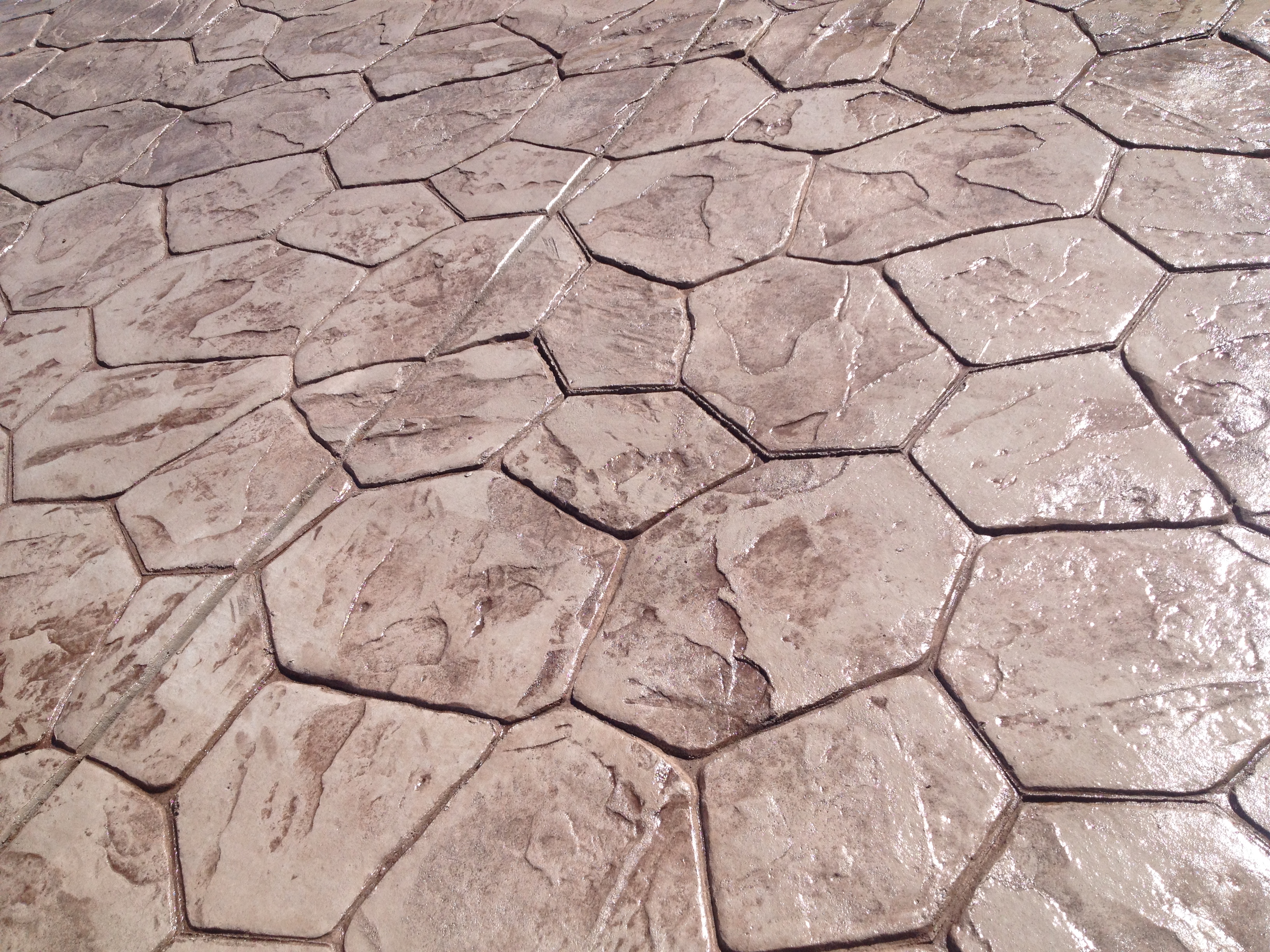 Fox Landscape and Construction Image