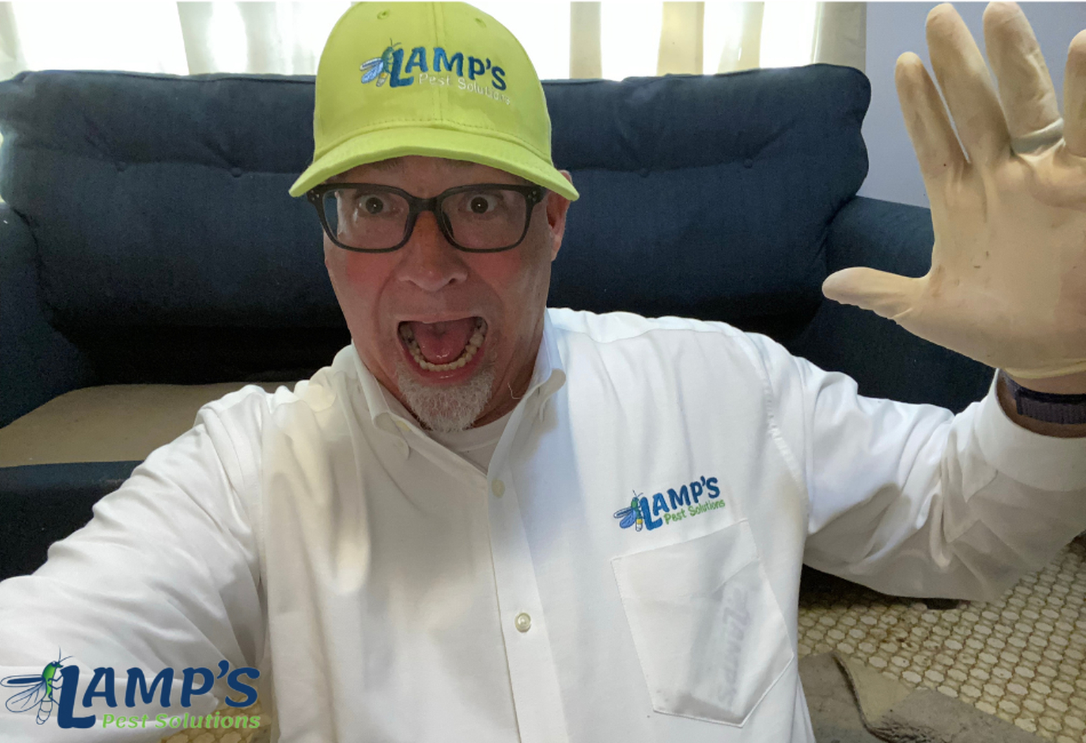 Lamp's Pest Solutions Image
