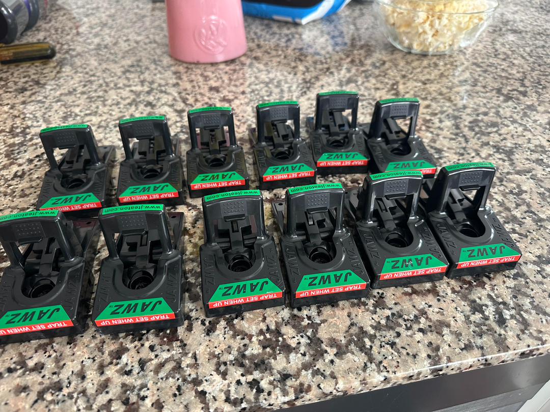 Lamp's Pest Solutions Image