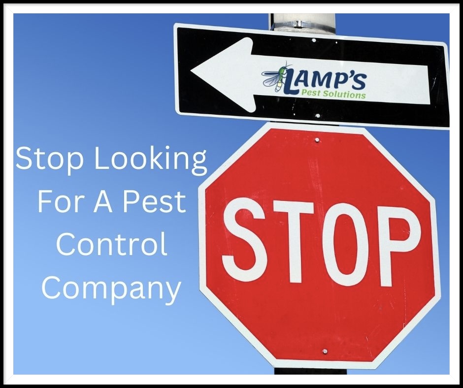 Lamp's Pest Solutions Image