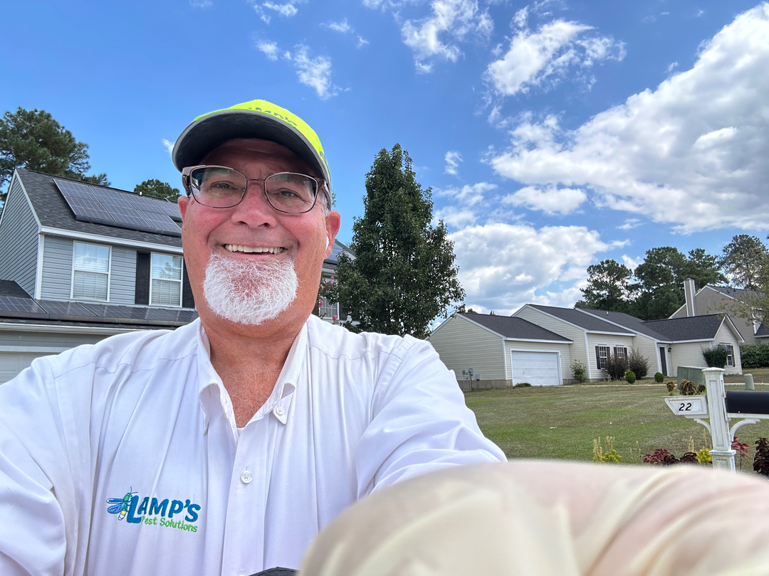 Lamp's Pest Solutions Image