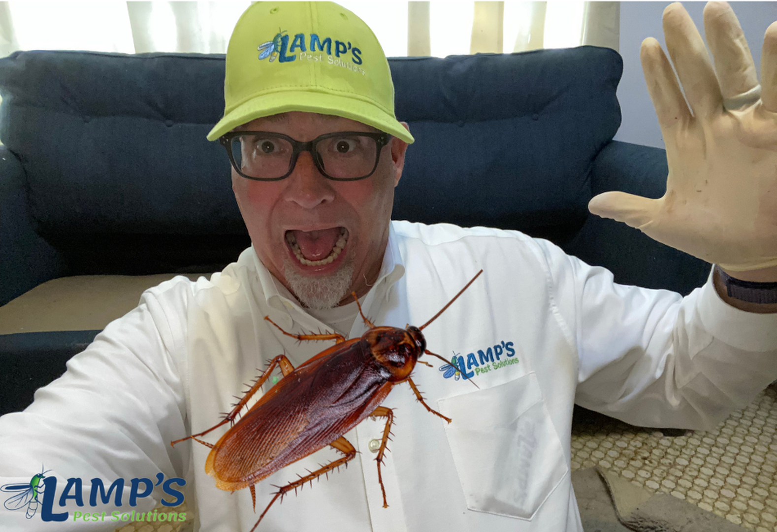 Lamp's Pest Solutions Image