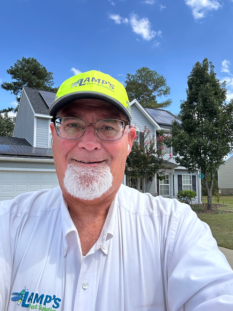 Lamp's Pest Solutions Image