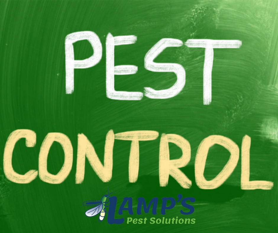 Lamp's Pest Solutions Image