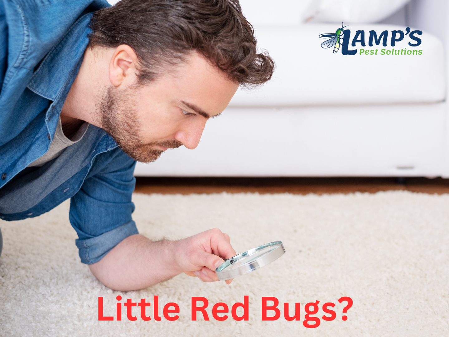 Lamp's Pest Solutions Image