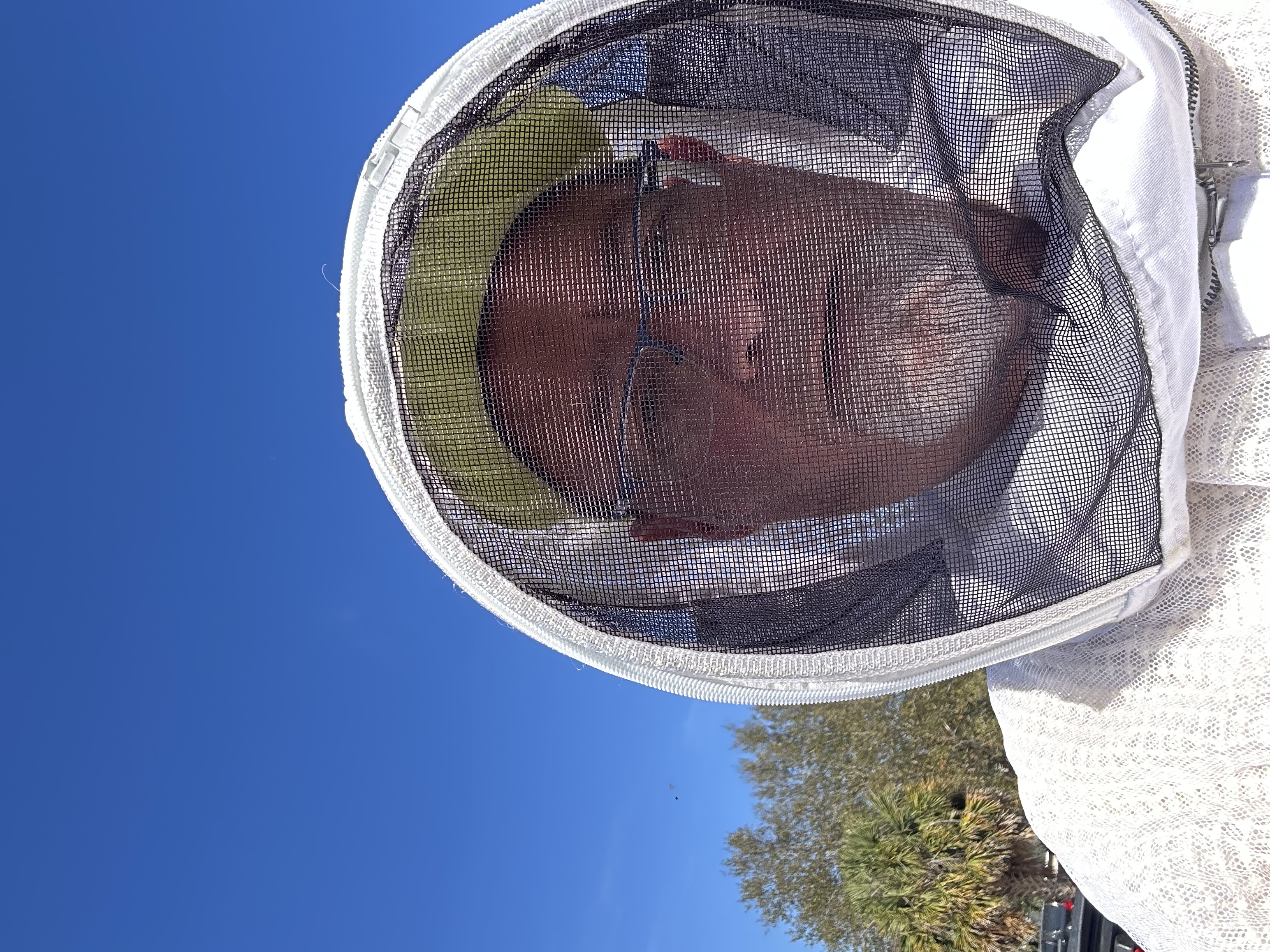 Lamp's Pest Solutions Image