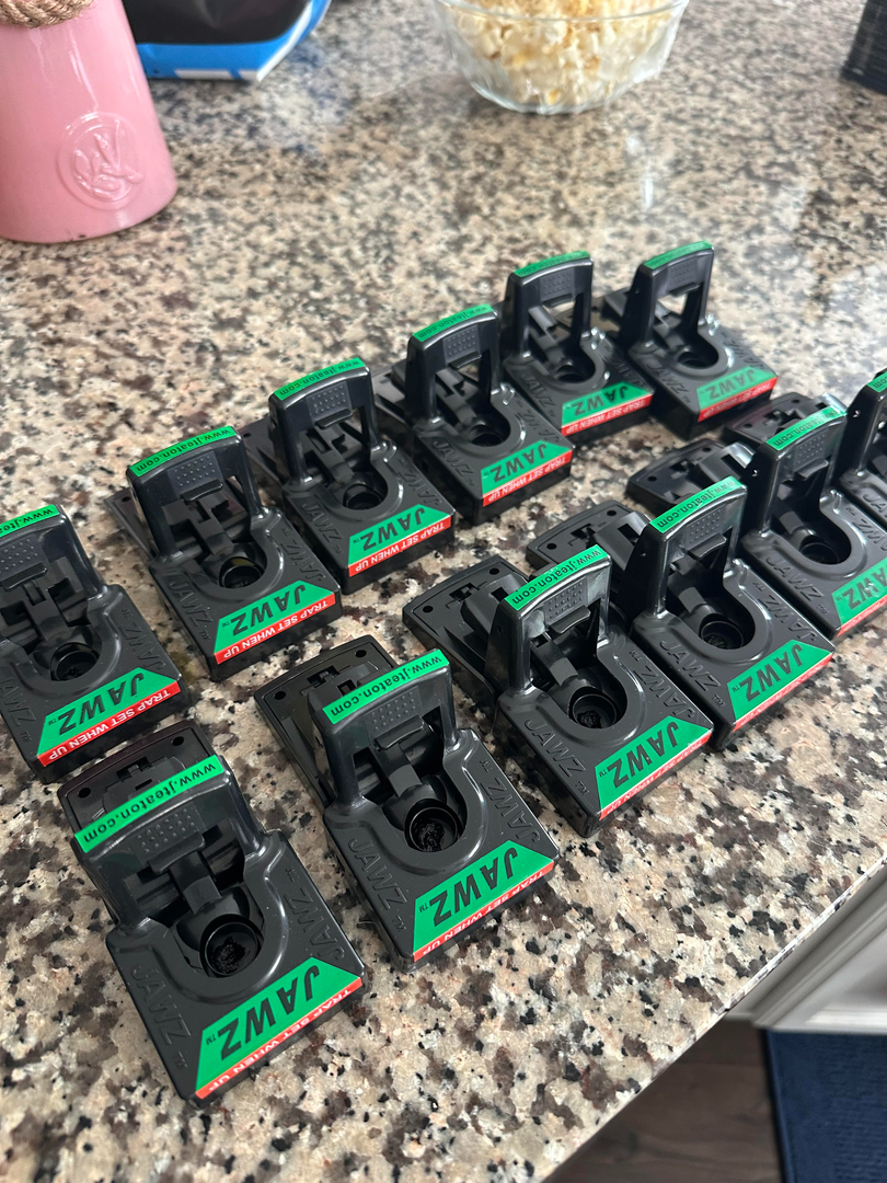 Lamp's Pest Solutions Image