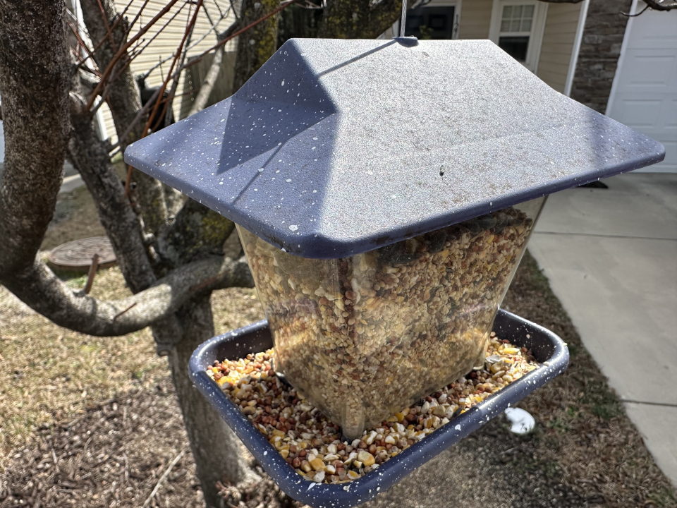 Lamp's Pest Solutions Image