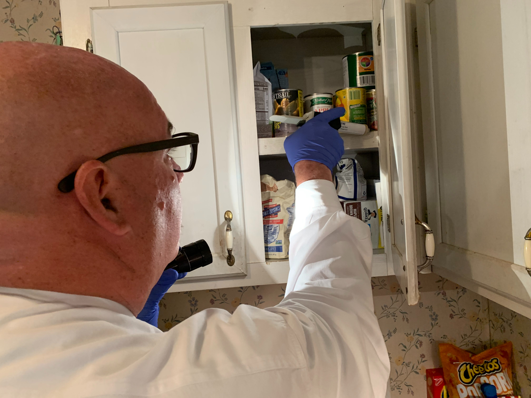 Lamp's Pest Solutions Image