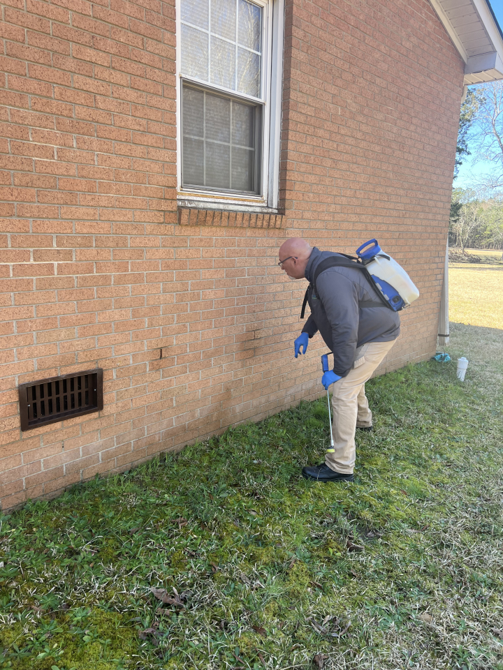 Lamp's Pest Solutions Image