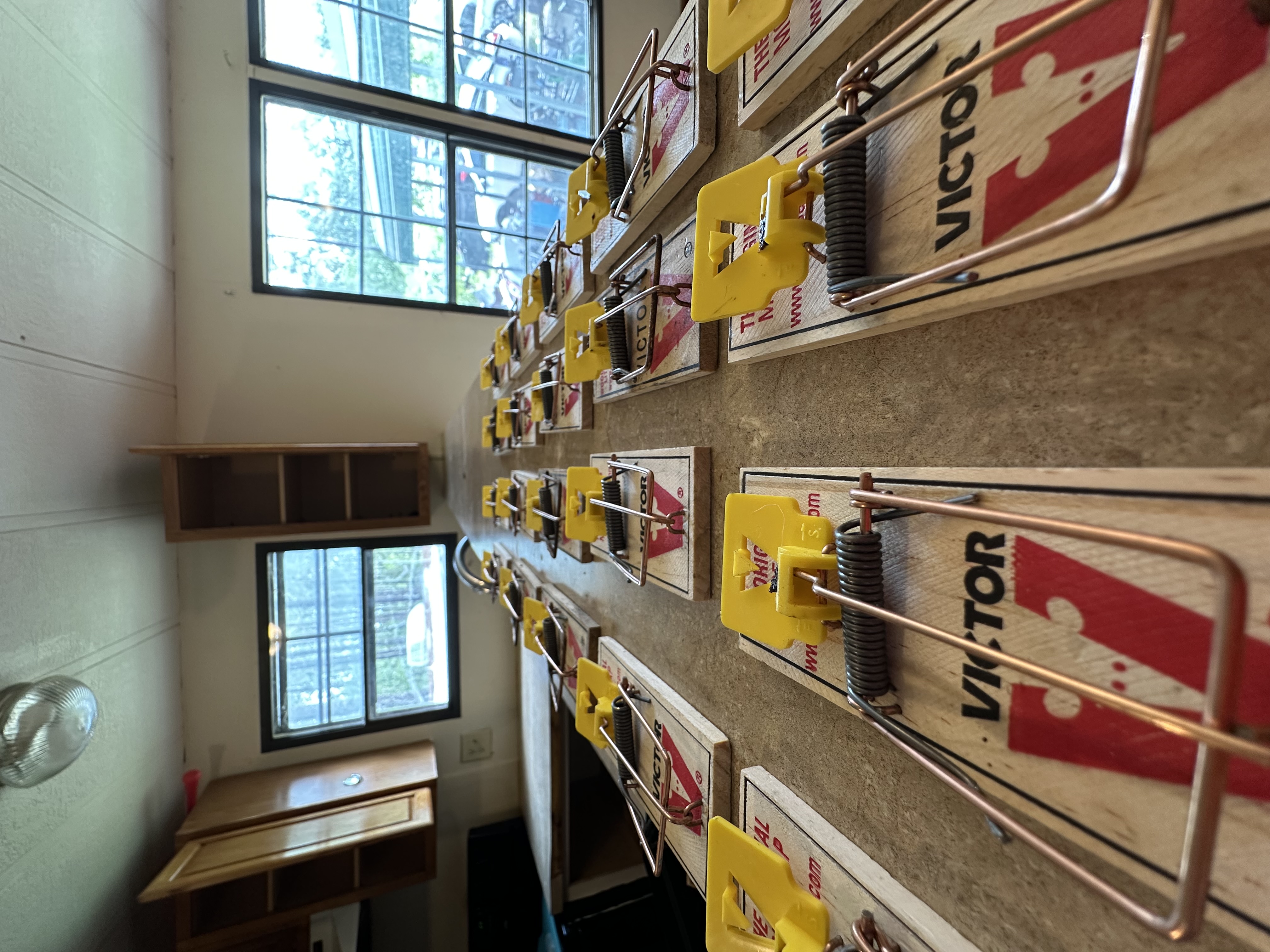 Lamp's Pest Solutions Image