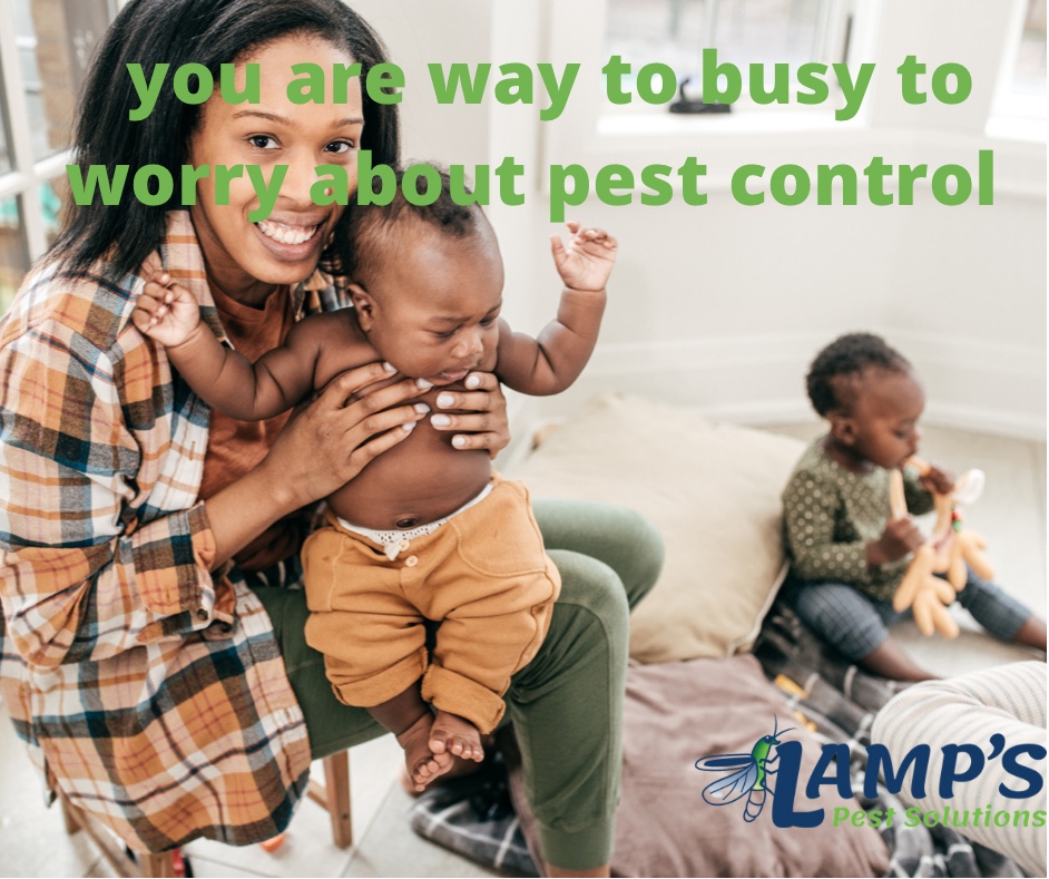 Lamp's Pest Solutions Image
