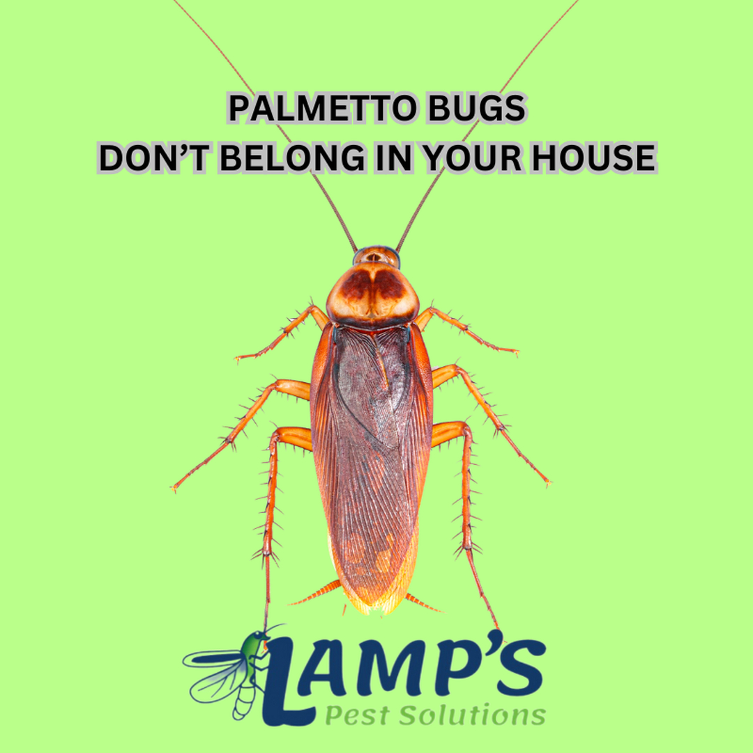 Lamp's Pest Solutions Image