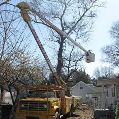 Burch Tree Services - Shawboro, NC