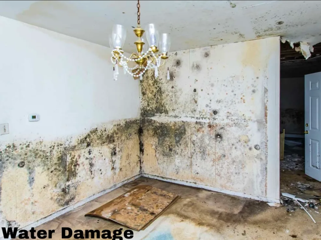 Next Gen Restoration AZ Image