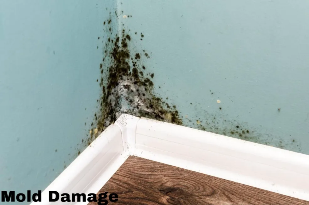 Next Gen Restoration AZ Image