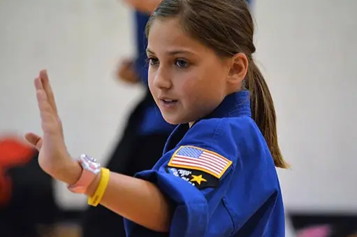 Naples Family Martial Arts Image