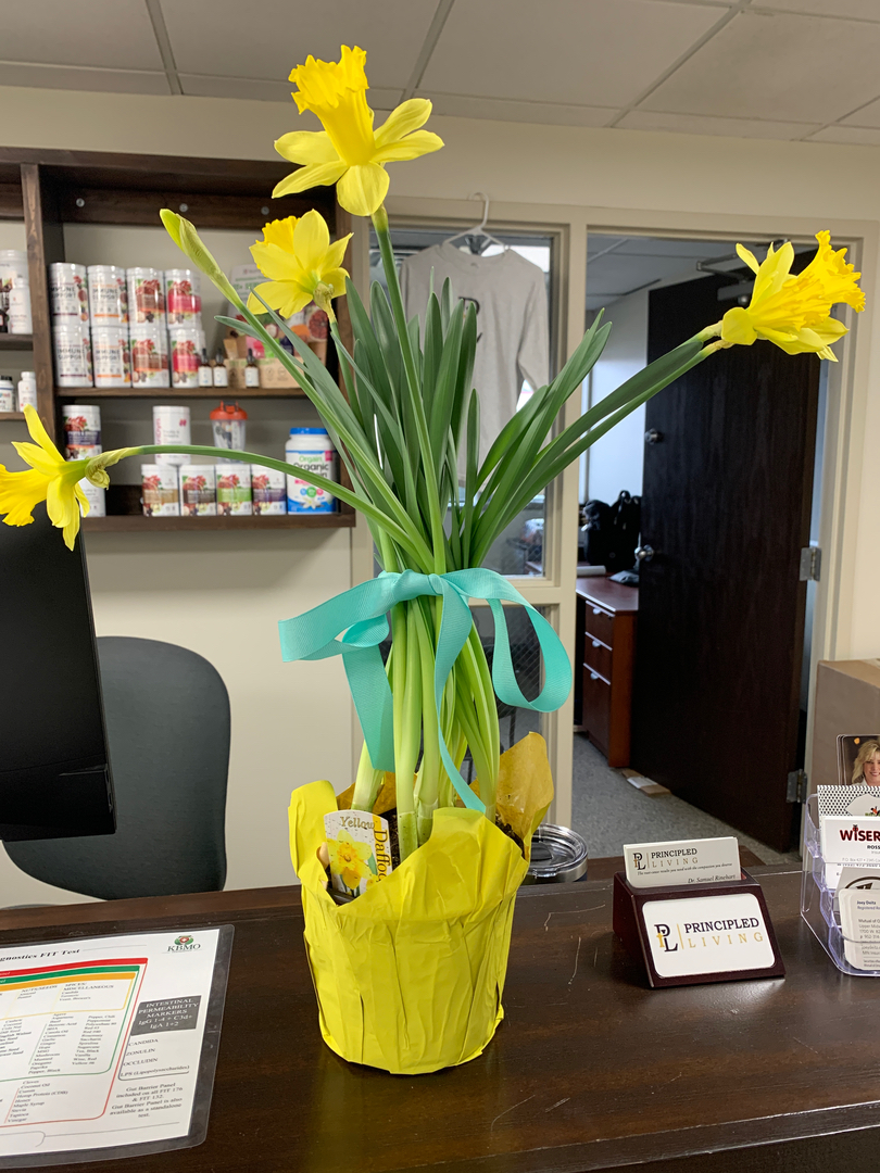 Principled Living Tonal Chiropractic Image