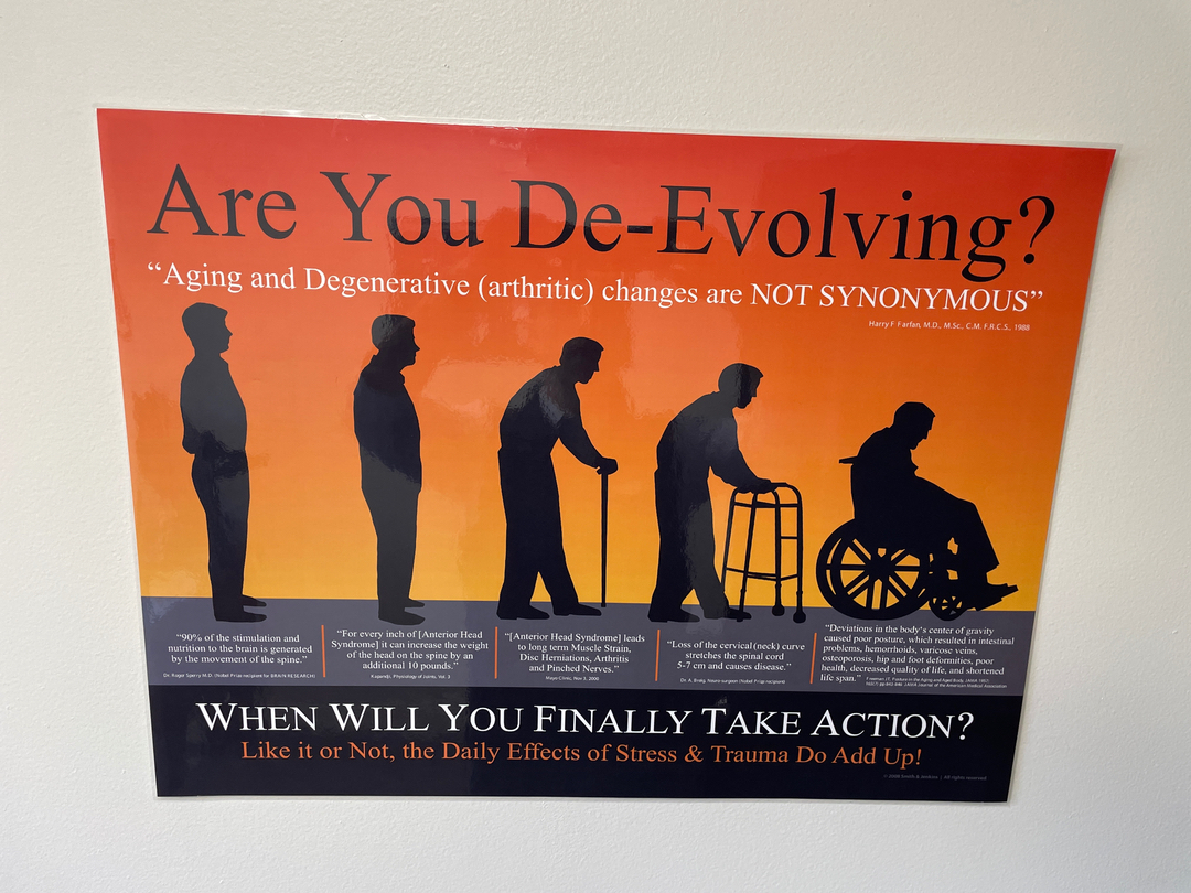 Principled Living Tonal Chiropractic Image